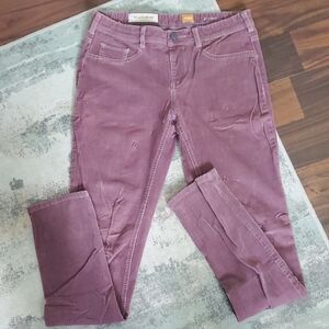 Pilcro Lavender Purple Denim with Blue Stitching